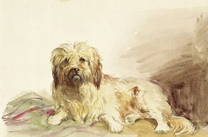 艺术家的狗，1860年