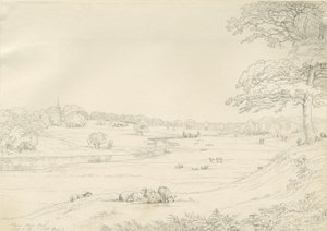 [Great] Barr Park：钢笔和墨水绘画，nd [19世纪初] 作者 约翰·奥尔波特