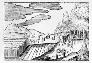 地球的果实，1658年 作者 约翰·阿莫斯·科门纽斯