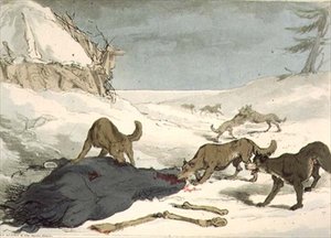 猎狼，《俄罗斯人的礼仪、习俗和娱乐》第三卷中的第74版，由该艺术家雕刻，出版。1804年（水印）。 作者 约翰·奥古斯都·阿特金森
