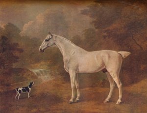 跳蚤灰色和斑点狗，1803年。