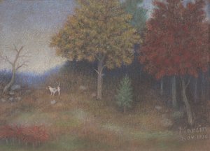 在史蒂文斯公园W.达拉斯附近 作者 约翰·布雷金里奇·马丁