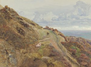 Bonchurch Downs, 1865年。 作者 约翰·布雷特