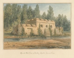 汉普郡-内特利城堡，1828年 作者 约翰·巴克勒