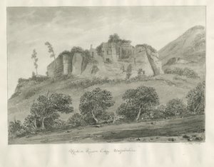 Kinver Edge: 棕褐色图画 作者 约翰·巴克勒