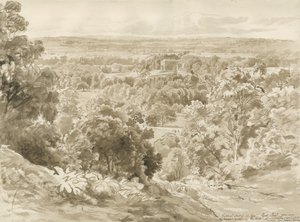 帕特沙尔庄园和公园：棕褐色水墨画 作者 约翰·巴克勒