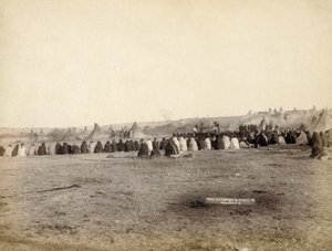印度理事会在1891年的敌对阵营 作者 约翰·CH·格拉比尔