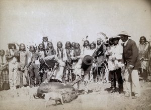 剥皮牛肉，1891年 作者 约翰·CH·格拉比尔