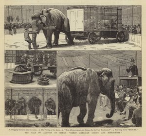拍卖迈尔斯的美国大马戏团和竞技场 作者 John Charles Dollman