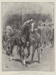 在农业大厅的夏尔马展 作者 John Charlton