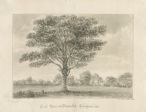 Boscobel-皇家橡树：棕褐色画，1820年 作者 约翰·切塞尔·巴克勒