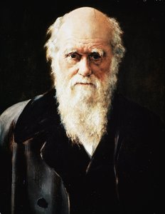 英国博物学家查尔斯·达尔文的肖像，细节（布面油画 作者 John Collier