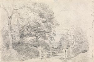 库姆比森林 作者 约翰·康斯特勃
