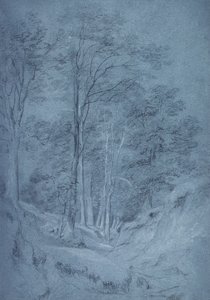 研究灰和其他树木（铅笔在纸上，用白色粉笔加高） 作者 约翰·康斯特勃