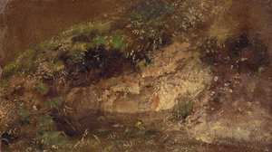 灌木，1821年（船上油纸） 作者 约翰·康斯特勃