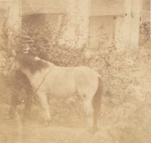 [人与马，政府大楼，阿拉哈巴德]，1858年。 作者 约翰·康斯坦丁·斯坦利