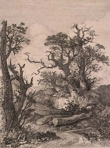 在Marlingford，由J. & W. Freeman出版。 作者 约翰·克罗姆