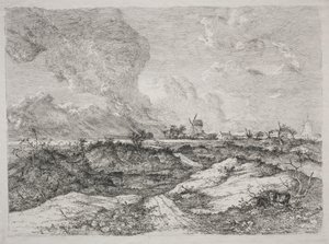 Mousehold Heath 作者 约翰·克罗姆