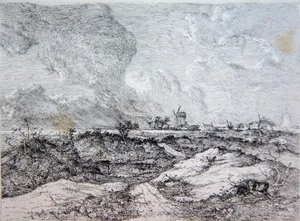Mousehold Heath，Norwich，c.1810-11 作者 约翰·克罗姆
