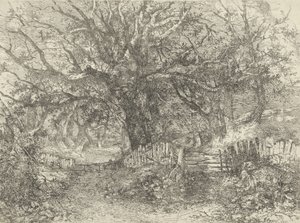 道路场景，Trowse Hall，1813 作者 约翰·克罗姆
