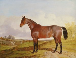 研究1854年景观中的海湾猎人