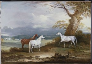 麦克唐纳勋爵（Lord Macdonald）的马匹（Thorpe Hall），约克郡拉德斯顿（Rudston），1836年