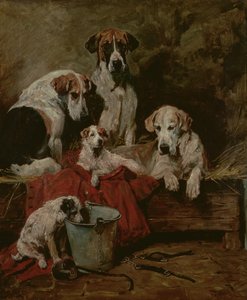 犬舍同伴 作者 约翰·艾姆斯