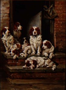 众多的西班牙犬 作者 约翰·艾姆斯