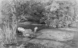 奥菲莉亚，由阿尔弗雷德史密斯（1810-fl.1870s）酒吧刻。作者：Henry Graves＆Co.，1864 作者 约翰·埃弗里特（John Everett）