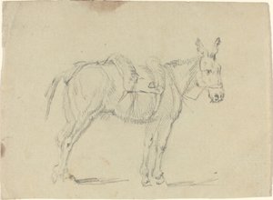 驴子伸展后腿 作者 约翰·弗拉克斯曼