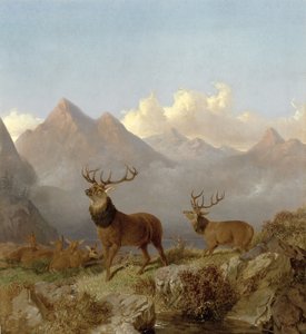 雄鹿和后腿在高地景观中的细节，1864年 作者 约翰·弗雷德里克·鲱鱼少年