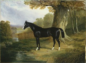 河流景观中的黑暗猎人，1832年 作者 老约翰弗雷德里克鲱鱼