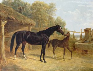 Levity，JCCockerill Esq。的财产，与她的驹女王伊丽莎白，多切斯特勋爵的财产，1843年