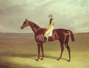 M. Stanleys Crutch先生在Newmarket Heath，1833年 作者 老约翰弗雷德里克鲱鱼