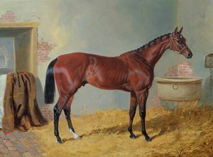 S. Wrather先生的&39;Nutwith&39;在马厩里 作者 老约翰弗雷德里克鲱鱼