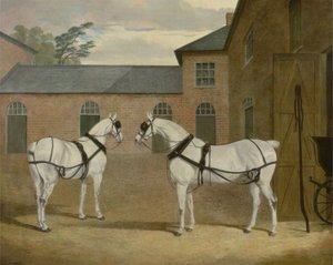 索尔比先生的灰色马车在1836年赫特福德郡Putteridge Bury的教练园里