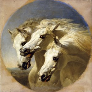 法老王的马，1848年