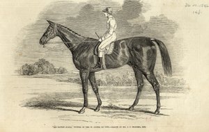 1846年9月26日，来自“伦敦新闻画报”的St. Leger的获奖者“Tatton Sykes爵士” 作者 老约翰弗雷德里克鲱鱼