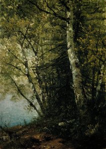 《山毛榉研究》，1872年。 作者 约翰·弗雷德里克·肯塞特
