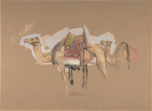 两只骆驼，约1843年。 作者 约翰·弗雷德里克·刘易斯