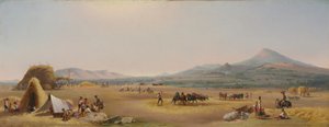 1868年在罗马坎帕尼亚收获。