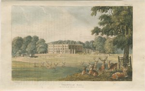 特伦瑟姆·霍尔（Trentham Hall）：彩色石版画，nd [c 1824]（印刷）