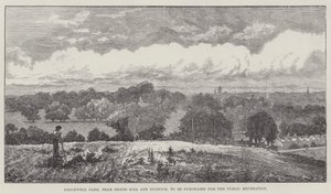 在Herne Hill和Dulwich附近的Brockwell公园将被购买用于公共娱乐 作者 约翰·吉尔伯特