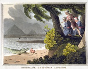 埃及人捉鳄鱼》，马修-杜伯格（1785-1820 年）雕刻，爱德华-奥姆出版