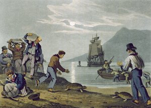 海龟捕捞，由Matthew Dubourg（1785-1820）刻，由Edward Orme出版，1813年