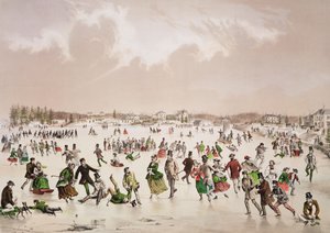 牙买加池塘，马萨诸塞州西罗克斯伯里，c.1859（彩色石版画） 作者 约翰·亨利·布福德