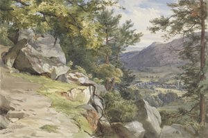 Craig-y-Barns，Dunkeld，南望，1855年的视图（wc和纸张上的bodycolour） 作者 约翰·亨利·摩尔