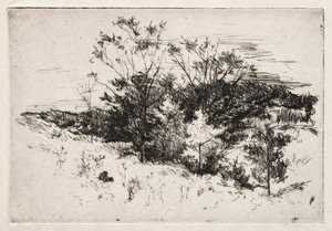 秋天风景，1879-80。 作者 约翰·亨利·特瓦特曼