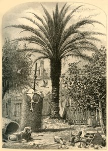 圣奥古斯丁的场景--枣树"，1872年。  