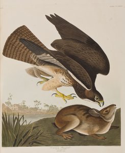 Illustration from 